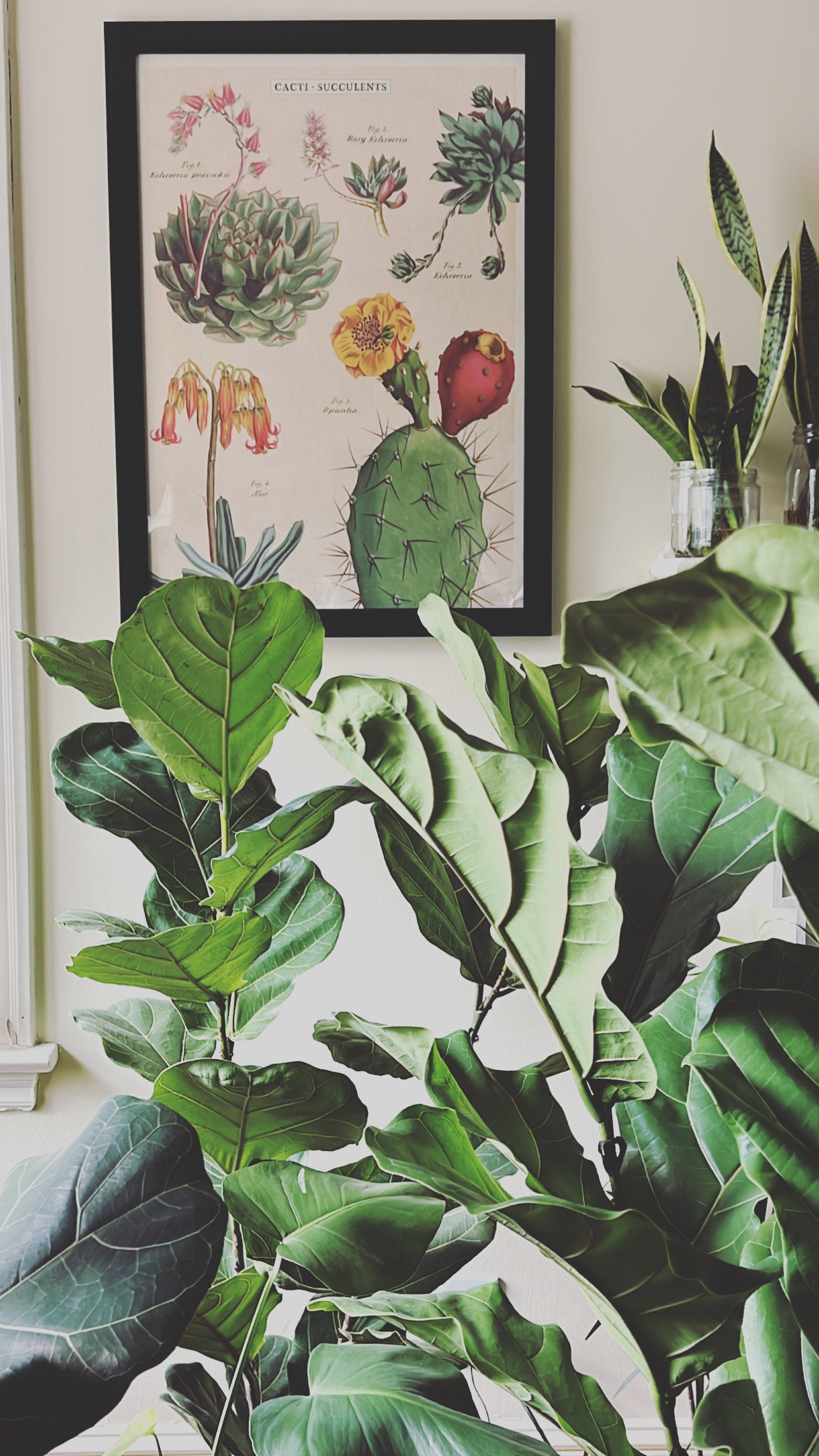 Home | Grounded Plant Services, LLC
